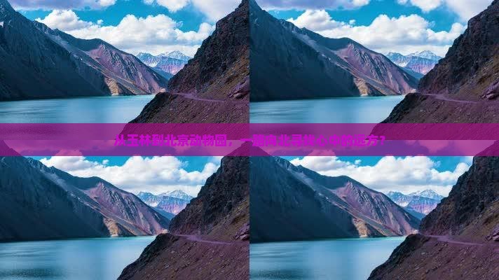 玉林到北京动物园景点 玉林到北京动物园景点