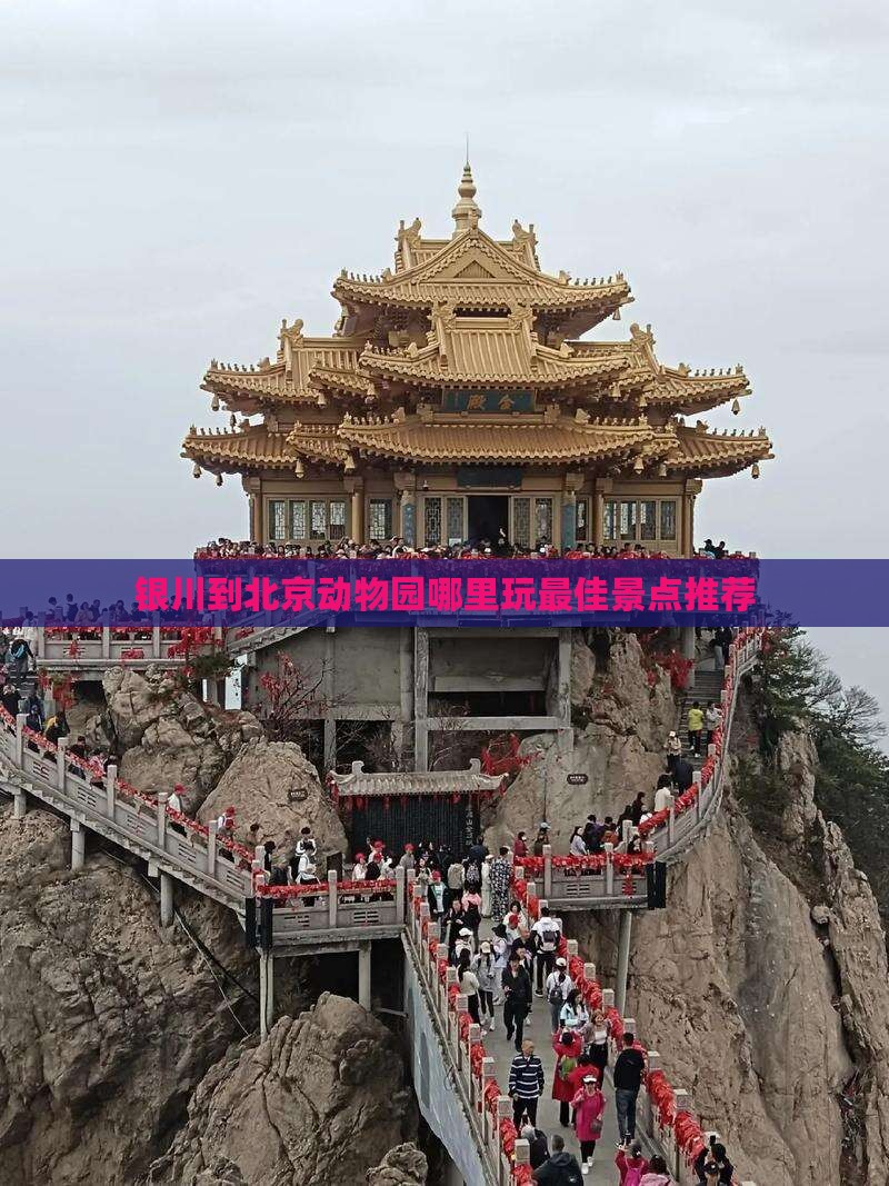 银川到北京动物园哪里玩