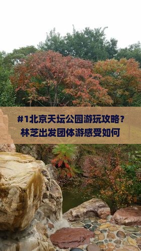 林芝去北京天坛公园团体旅游