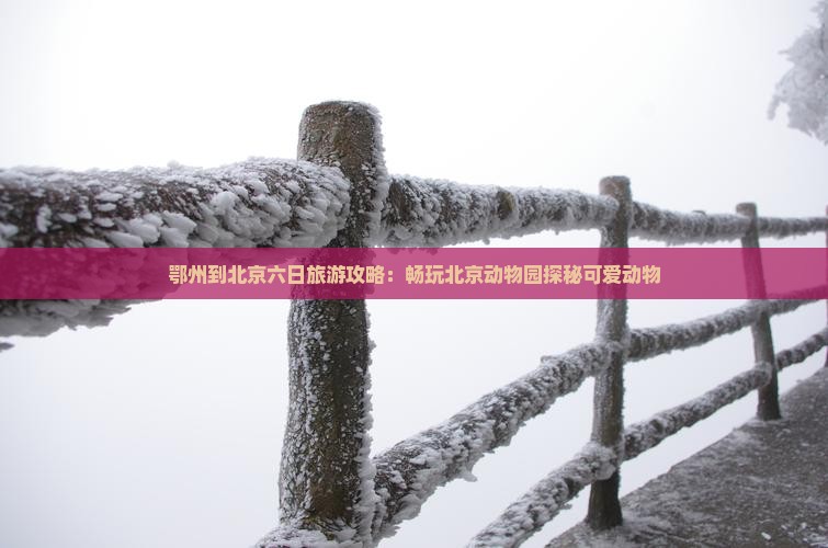 鄂州去北京动物园六日游
