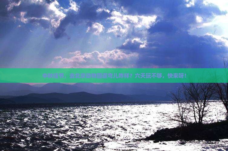 中秋节到北京动物园六日游
