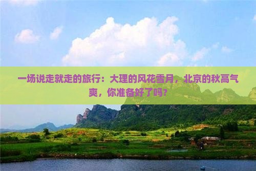 大理到北京自由团