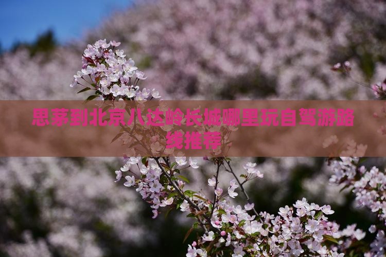 思茅到北京八达岭长城哪里玩