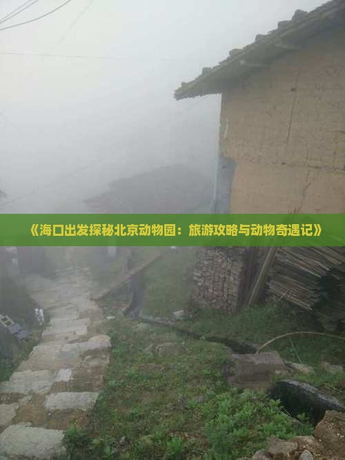 海口去北京动物园自由行