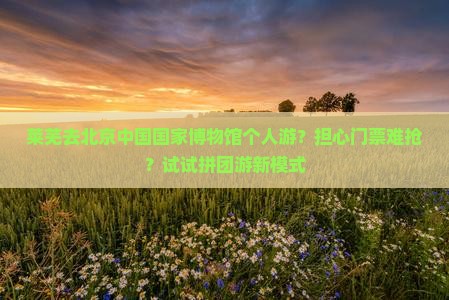 莱芜去北京中国国家博物馆个人游