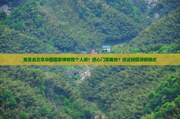 莱芜去北京中国国家博物馆个人游