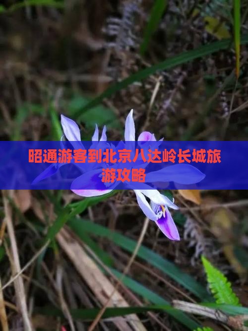 昭通去北京八达岭长城旅游