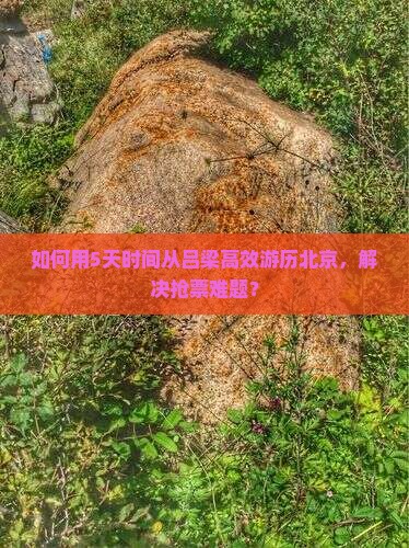 吕梁去北京五日游
