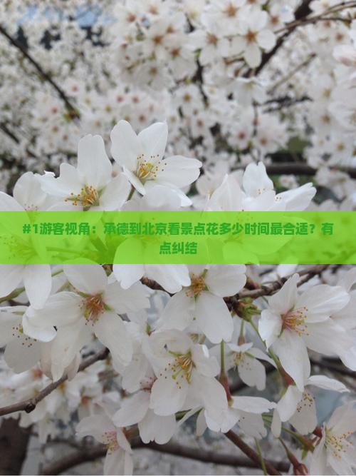 承德到北京景点