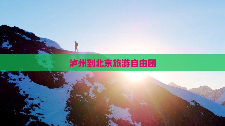 泸州到北京自由团