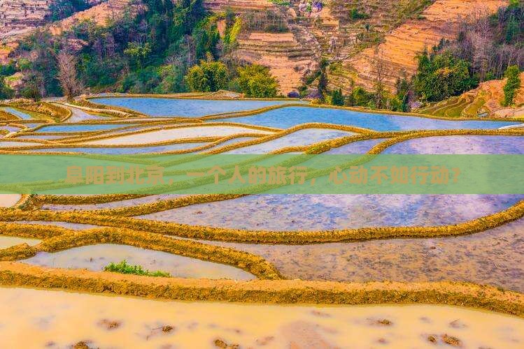 阜阳去北京个人游