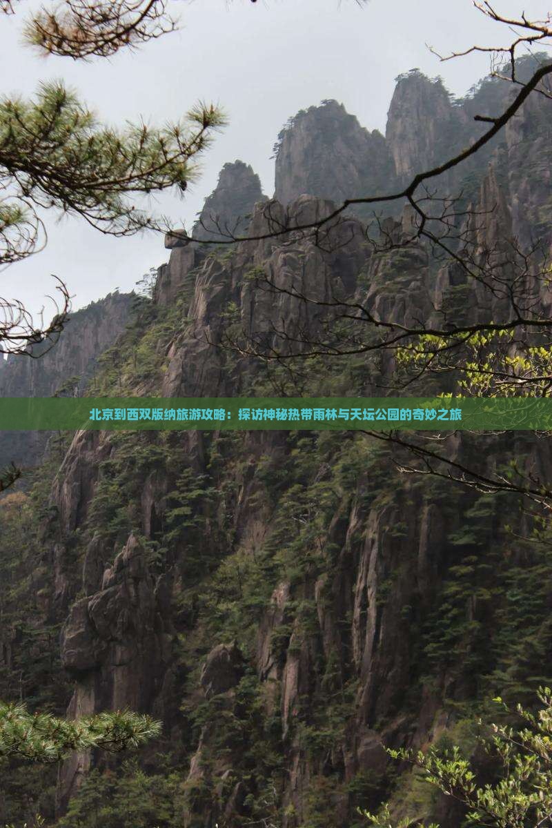 西双版纳到北京天坛公园自由行
