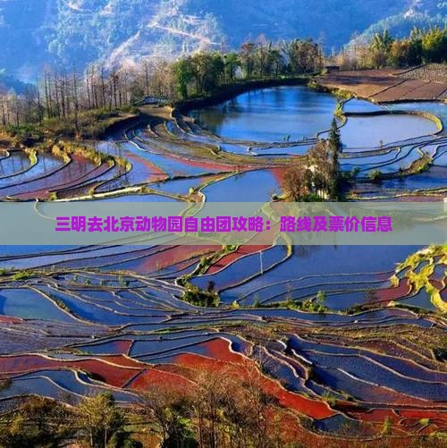 三明去北京动物园自由团 三明去北京动物园自由团