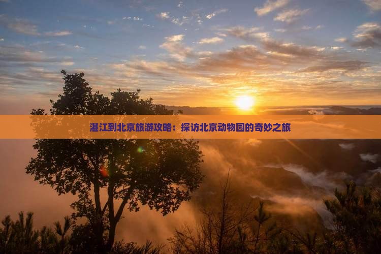 湛江到北京动物园景点
