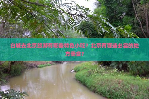 白城去北京旅游小吃