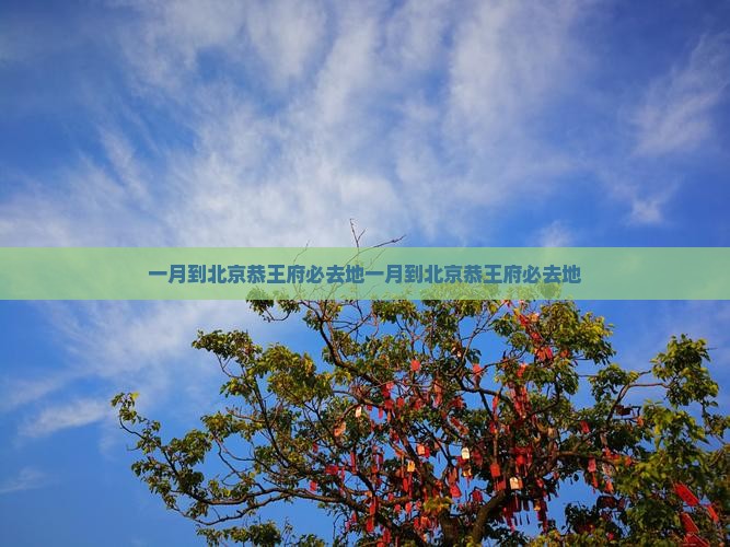 一月到北京恭王府必去地