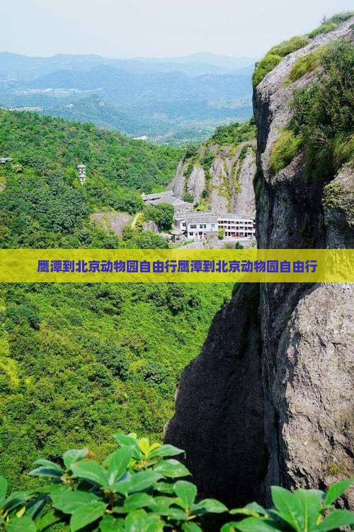 鹰潭到北京动物园自由行