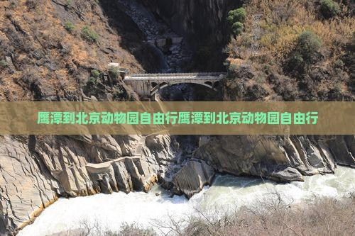 鹰潭到北京动物园自由行