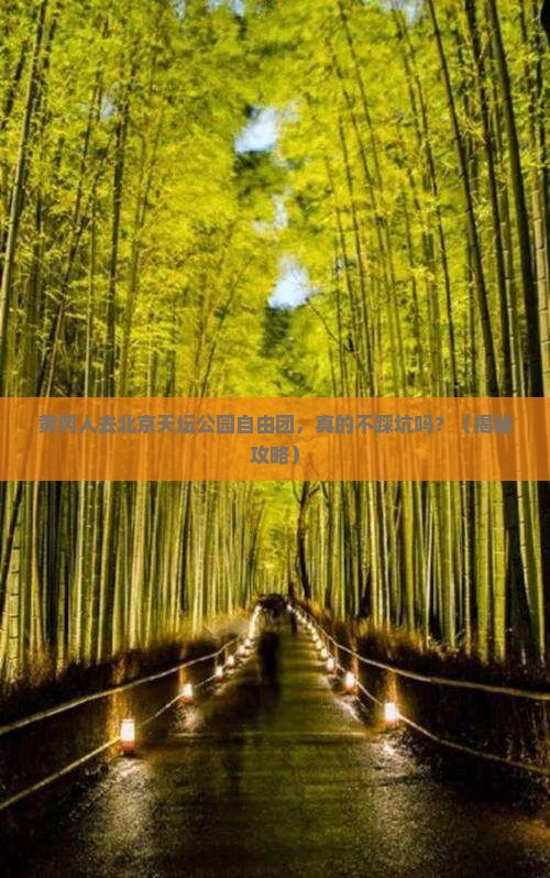 黄冈去北京天坛公园自由团