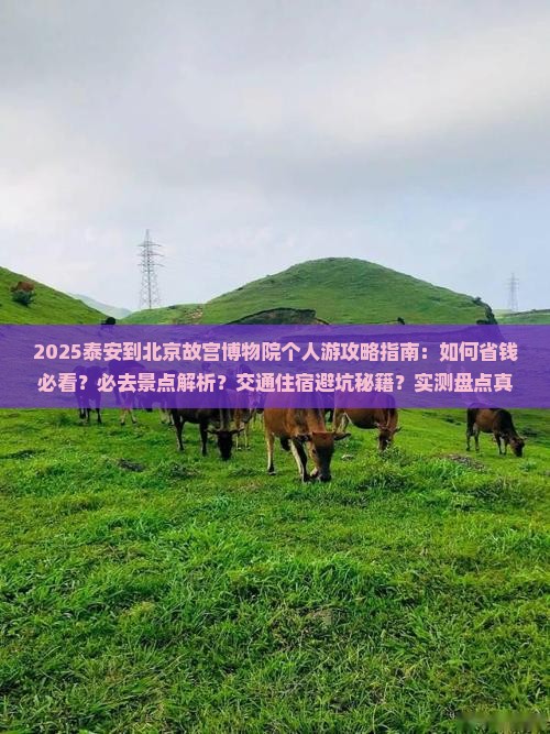 泰安到北京故宫博物院个人游