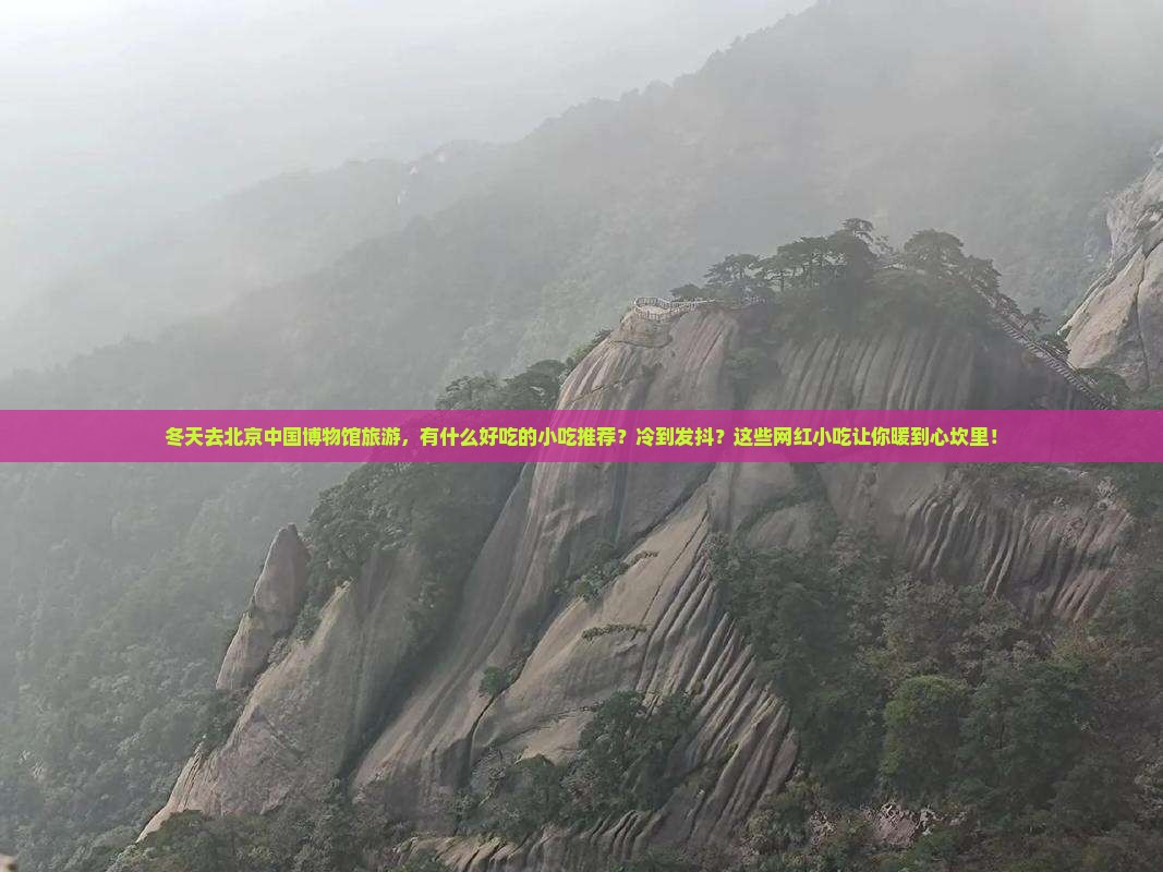 冬天去北京中国国家博物馆旅游小吃