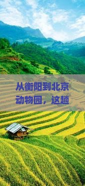 衡阳到北京动物园旅游