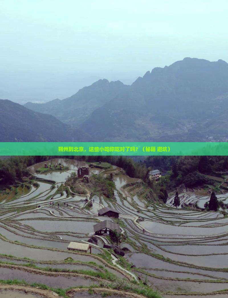 朔州到北京旅游小吃