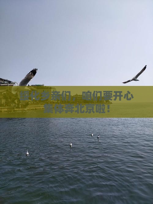 绥化去北京大型旅游团