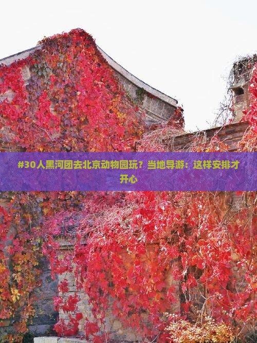 黑河去北京动物园团体旅游