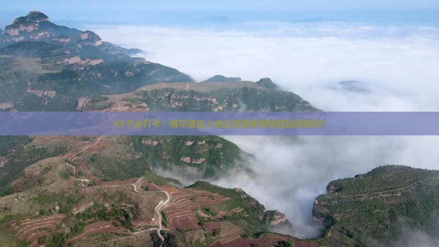 博尔塔拉去北京中国国家博物馆旅游 博尔塔拉去北京中国国家博物馆旅游