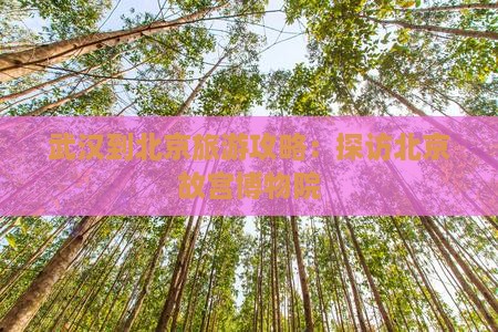 武汉到北京故宫博物院旅游