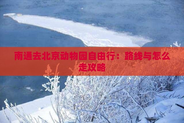 南通去北京动物园自由行
