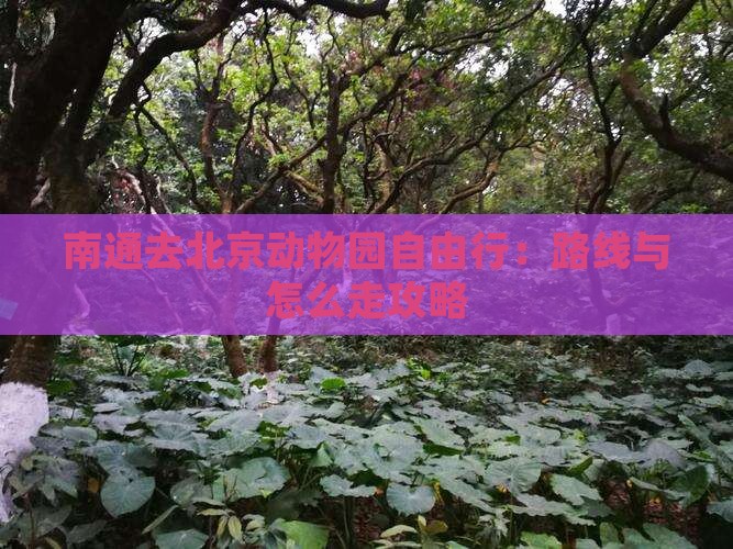 南通去北京动物园自由行