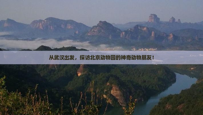 武汉去北京动物园景点