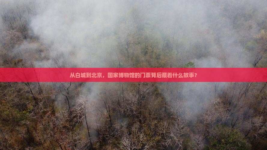 白城去北京中国国家博物馆门票