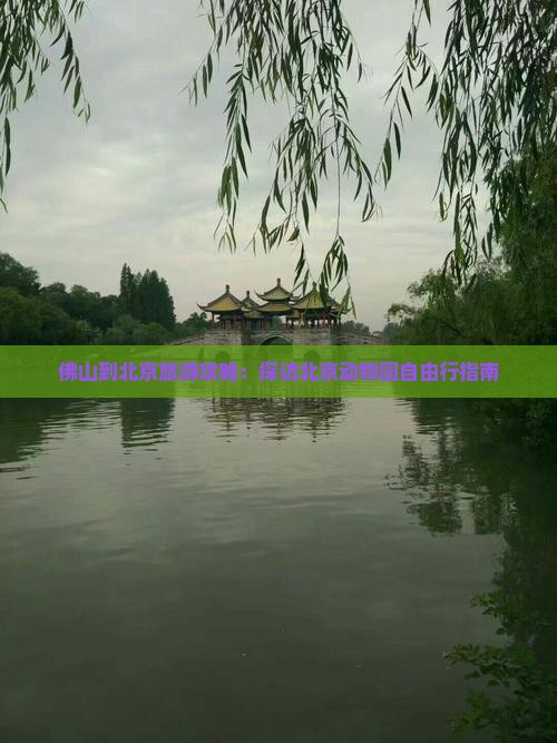 佛山去北京动物园自由团