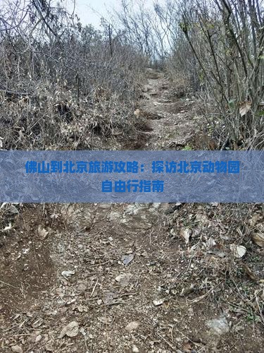 佛山去北京动物园自由团