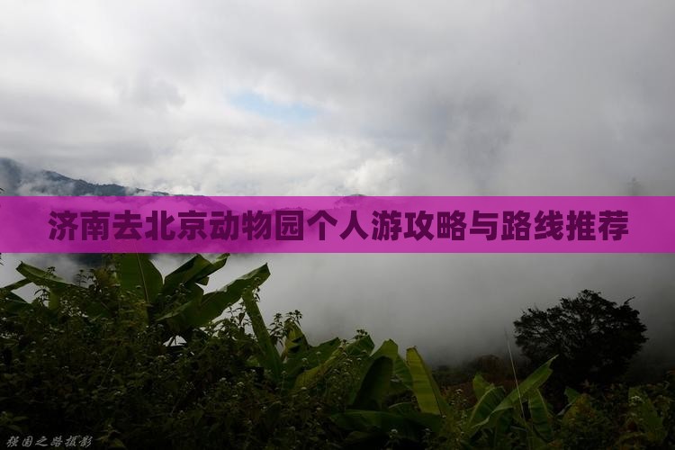 济南去北京动物园个人游