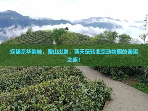 鞍山去北京动物园二日游