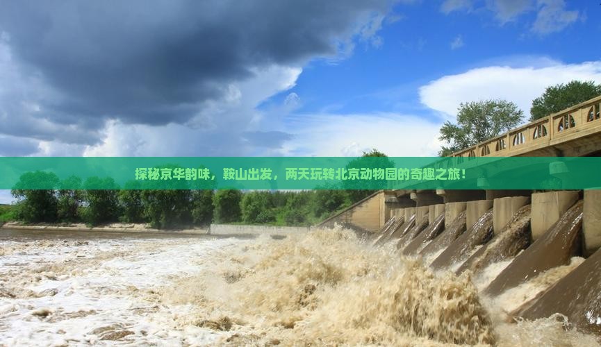 鞍山去北京动物园二日游