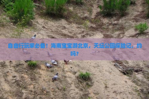 海南省直辖去北京天坛公园自由团