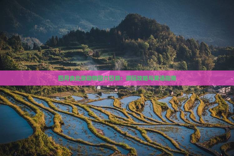 四月去北京动物园六日游