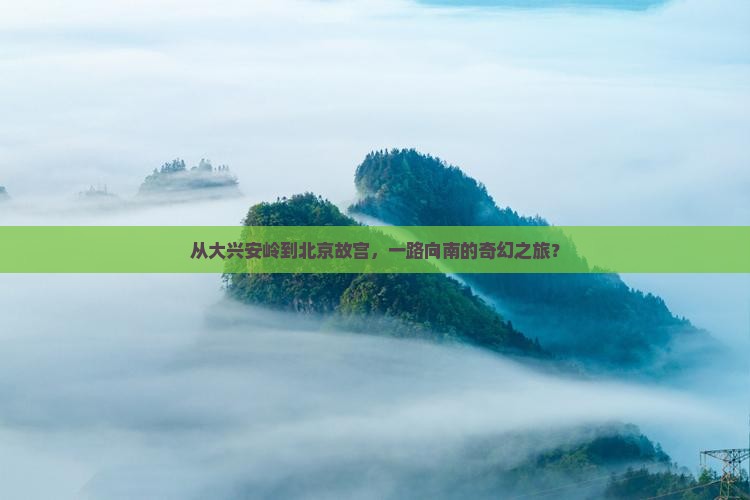 大兴安岭去北京故宫博物院攻略