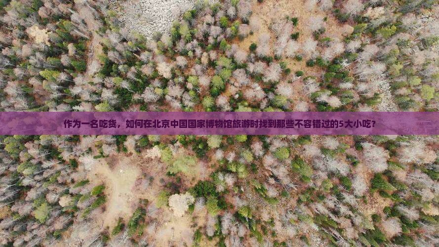 包头去北京中国国家博物馆旅游小吃