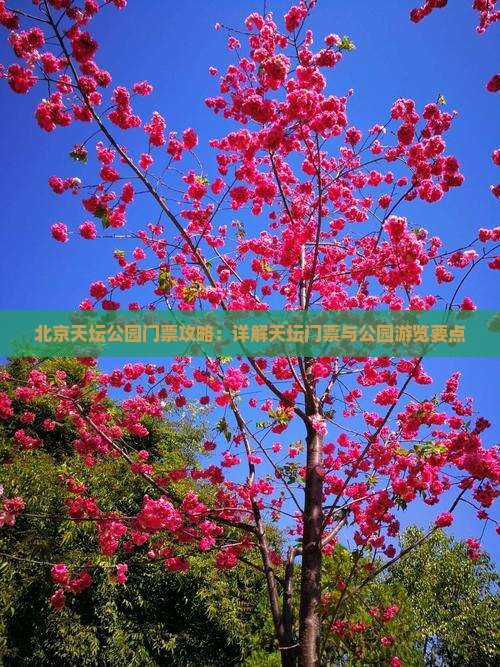 黄南去北京天坛公园门票