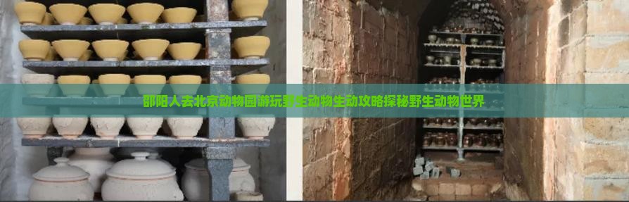 邵阳到北京动物园哪里玩