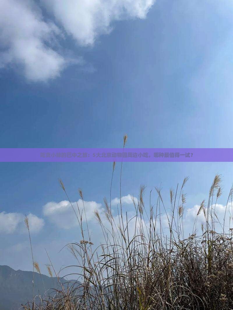 巴中去北京动物园旅游小吃