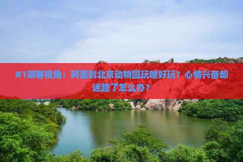 阿里到北京动物园自由团