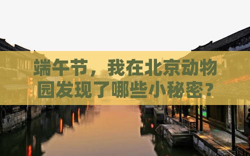 端午节到北京动物园个人游