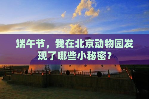端午节到北京动物园个人游